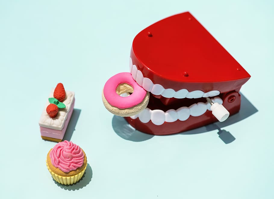 several learning toys, tooth, teeth, plastic, food, donut, dessert HD wallpaper