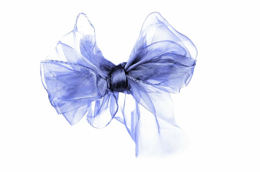 purple sheer bow accent, blue, ribbon, gift, reward, satin, tied, HD wallpaper