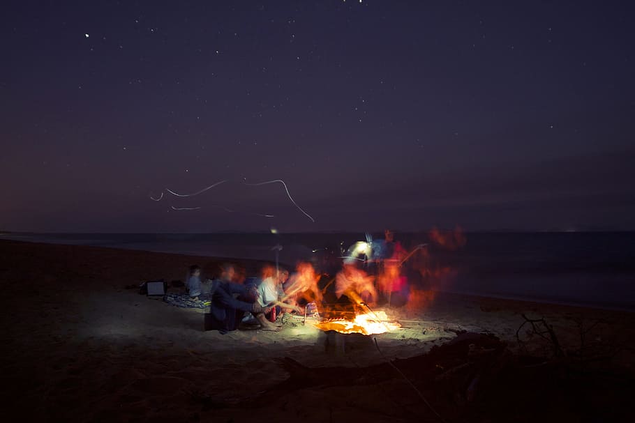 group of people making bonfire, group of people lit fire near shoreline HD wallpaper