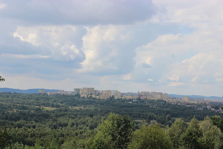 panorama, forest, landscape, tree, summer, clouds, forests HD wallpaper