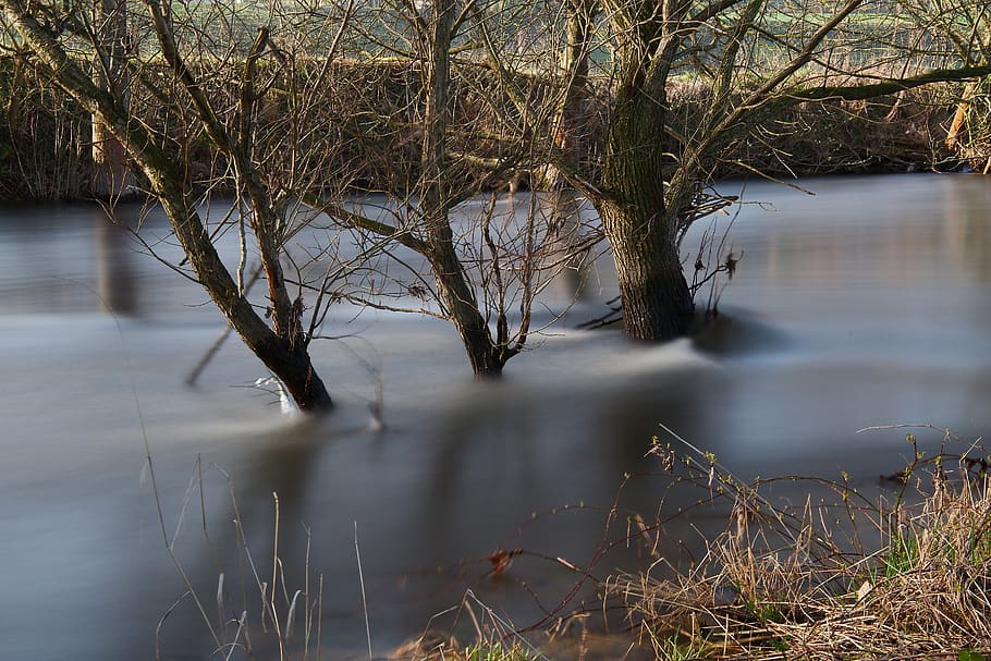 waters, nature, reflection, tree, river, autumn, wood, landscape HD wallpaper