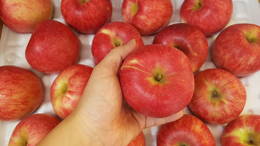 apple, red, healthy eating, food and drink, fruit, wellbeing HD wallpaper