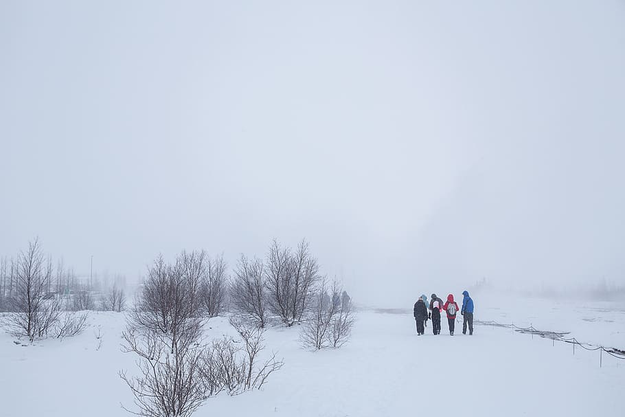 people, men, talking, walking, friends, adventure, outdoor HD wallpaper