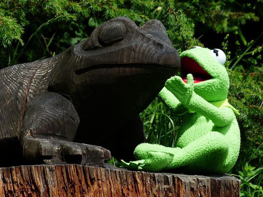 Kermit the frog sitting beside brown reptile decor, talk, talk about a