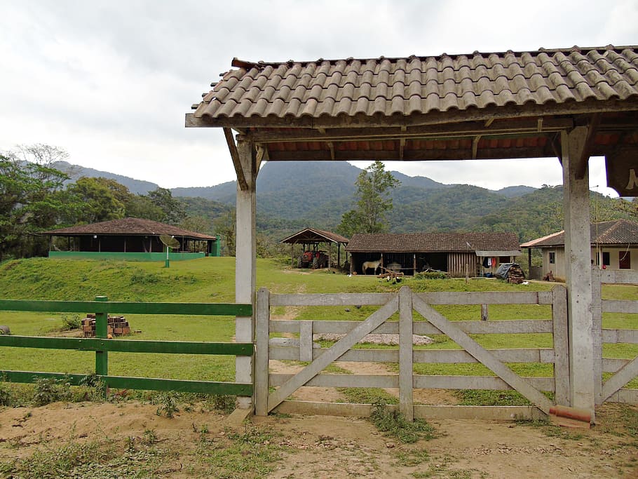 farm, concierge, nature, interior, built structure, architecture HD wallpaper