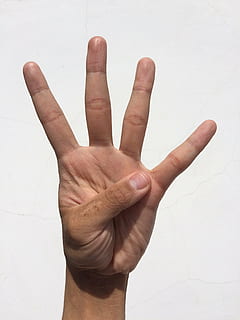 person showing left hand, palm, finger, nail, young, japanese HD wallpaper