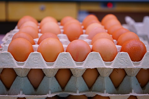 close-up photo of brown eggs on tray, chicken eggs, egg carton HD wallpaper