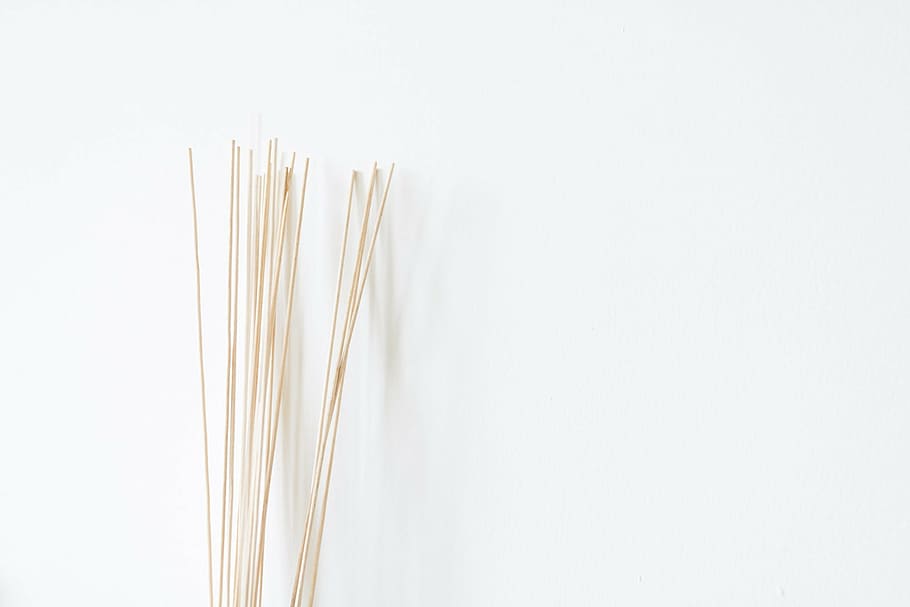 sticks near white wall, clean, interior, home, design, fresh HD wallpaper