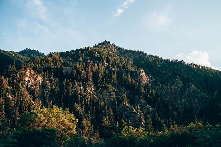 trees covered mountains during daytime, green trees, green mountain HD wallpaper