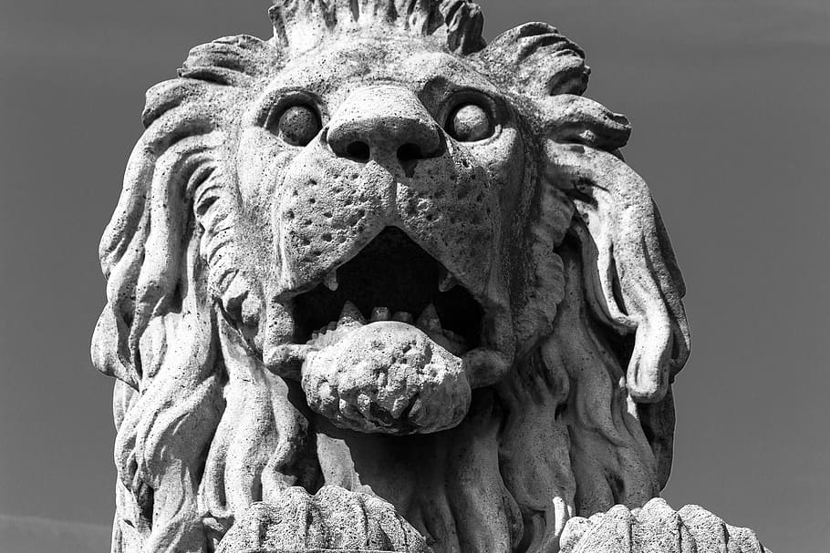 leo, statue, budapest, stone, architecture, monument, tourism HD wallpaper