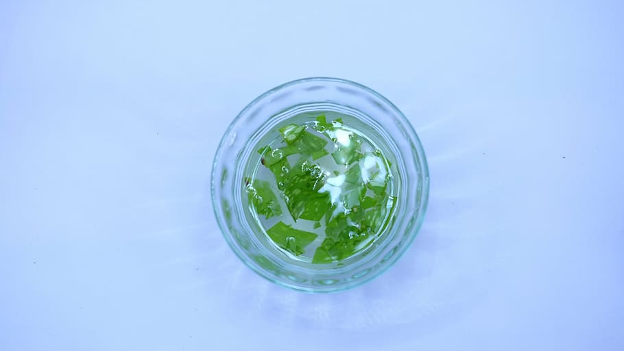 round green and clear plastic ornament art illustration, aloe vera, HD wallpaper