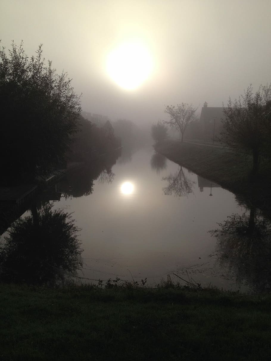 Fog, Sun, Water, Trees, reflection, nature, outdoors, scenics HD wallpaper