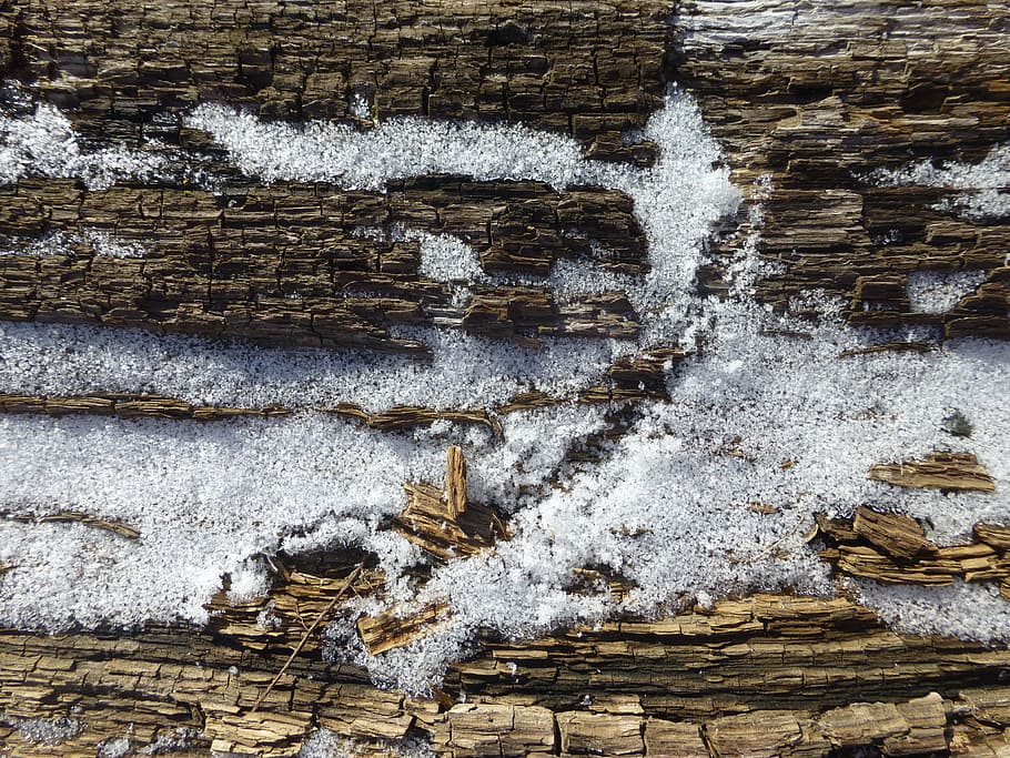 texture, wood, snow, bark, tree, spring, water, no people, motion HD wallpaper