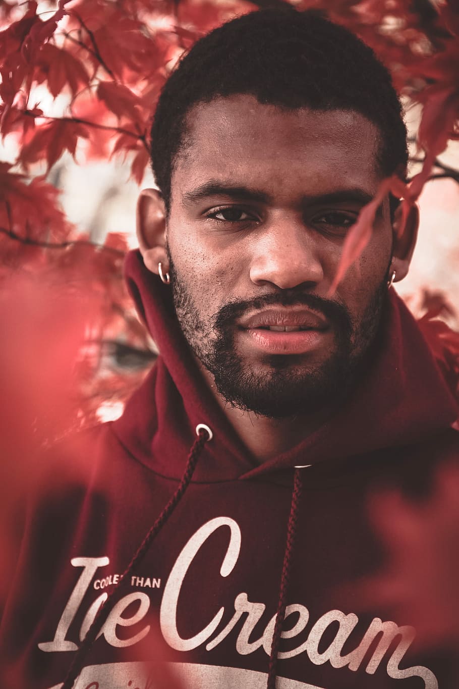 men's red pullover hoodie, man, male, face, portrait, leaves HD wallpaper