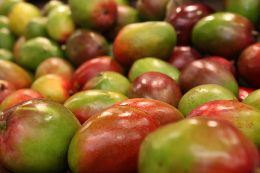 green-and-red fruit lot, mango, many, market, background, bitter HD wallpaper