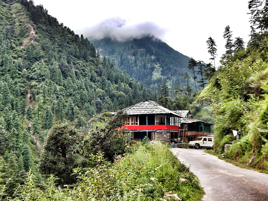 red and gray house surrounded trees, tirthan valley, great himalayan national park, HD wallpaper