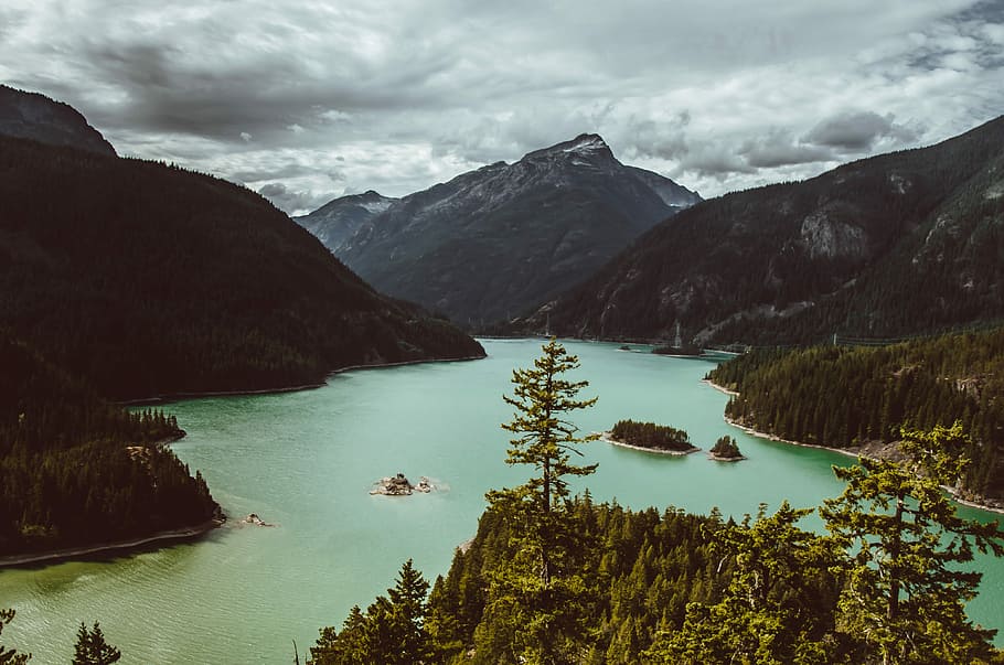 body of water between mountains, tall trees near body of water HD wallpaper