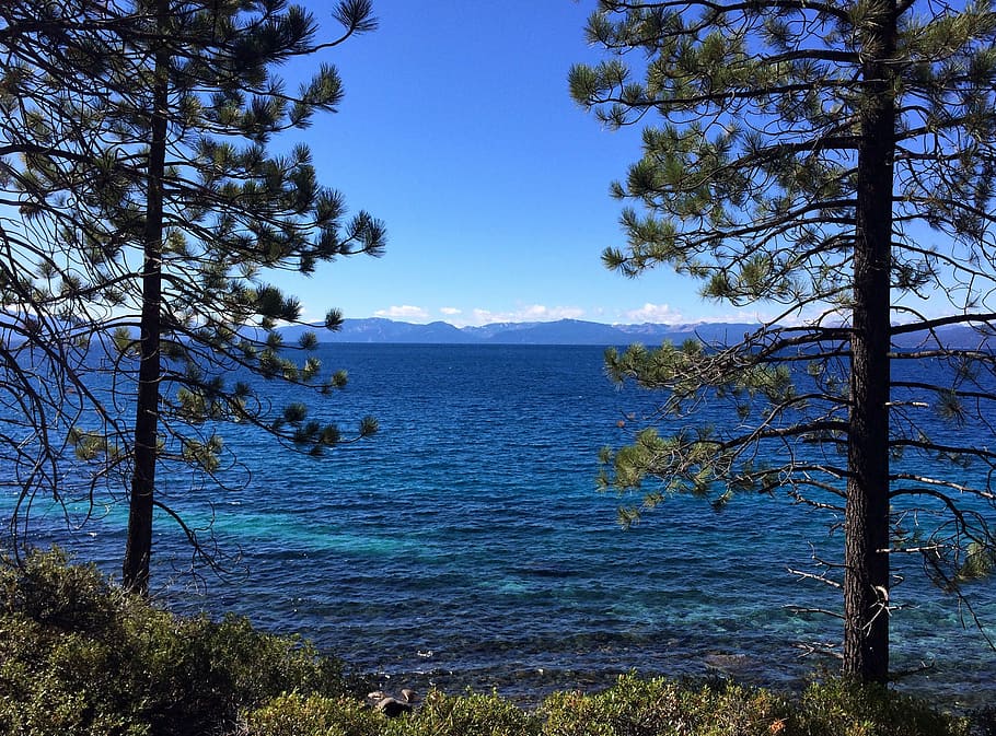 tahoe, lake, lake tahoe, blue, water, trees, sky, mountain, HD wallpaper