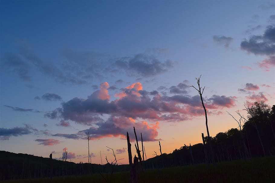 sunset, sky, trees, silhouette, clouds, landscape, summer, blue HD wallpaper