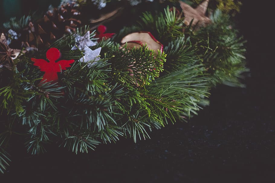 green leaf wreath, green Christmas tree, decor, decoration, plant HD wallpaper