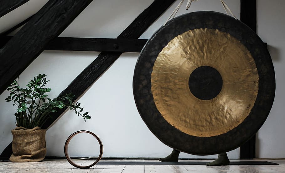 round black and brown gong beside potted green leafed palnt, black and brown gong, HD wallpaper