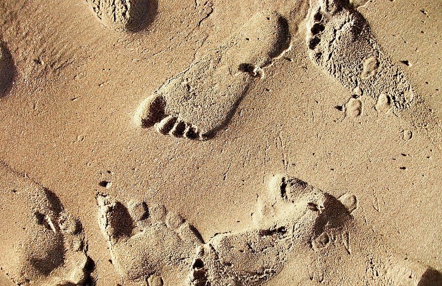 sand, beach, footprints, traces, footprints in the sand, sand beach HD wallpaper
