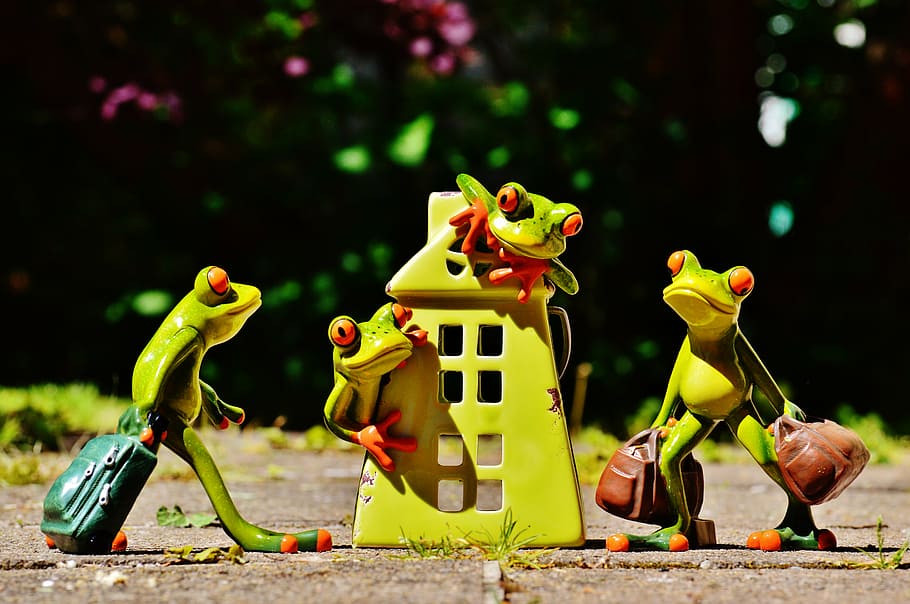 four green frogs with suit cases, at home, welcome, arrive, deco, HD wallpaper