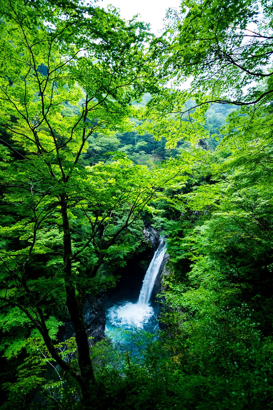 landscape, waterfall, forest, japan, light, fantastic, mysterious, HD wallpaper