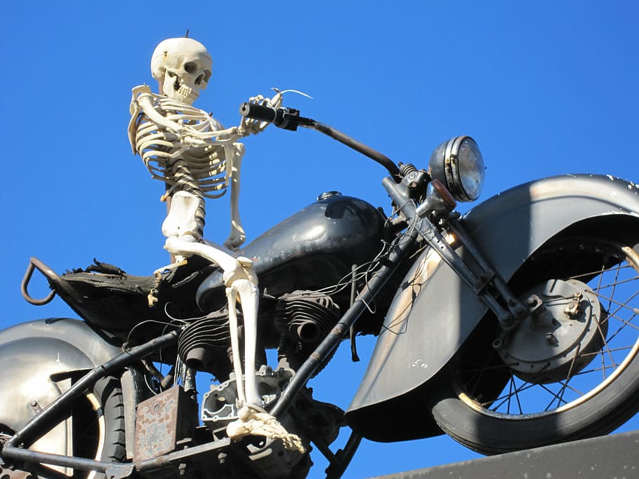 motorcycle, skeleton, bike, bone, motorbike, skull, vehicle HD wallpaper