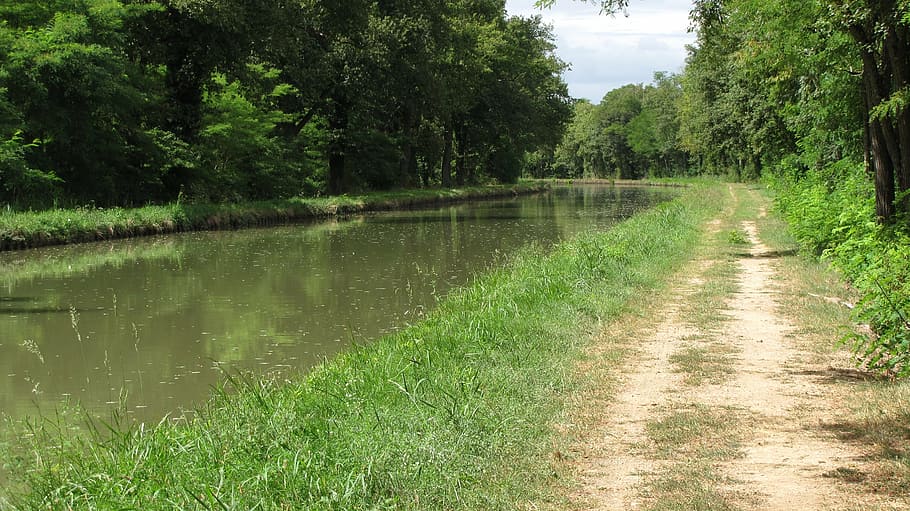 channel, path, nature, plant, tree, water, tranquility, green color HD wallpaper
