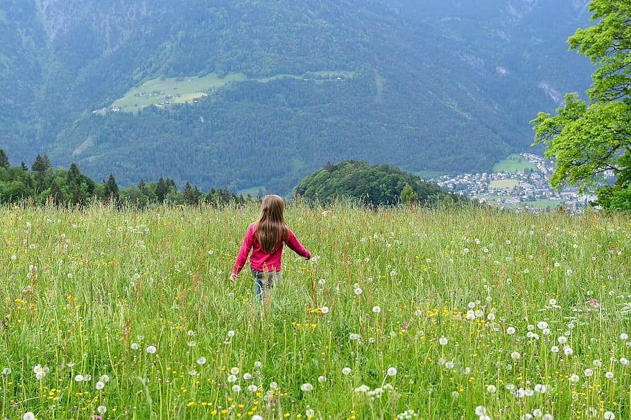 landscape, child, human, meadow, grass, walk, nature, plant HD wallpaper