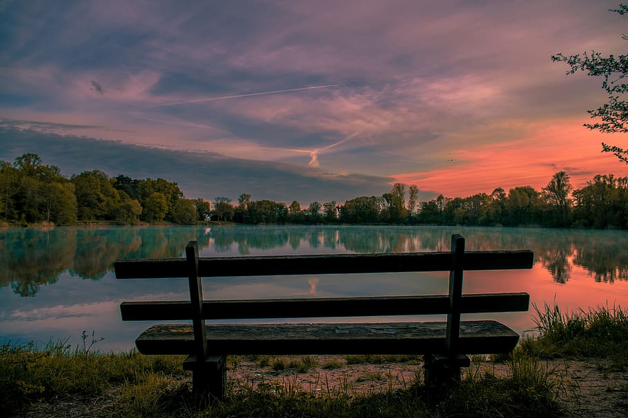 photo of brown wooden bench during sunset, trees, plant, clouds HD wallpaper