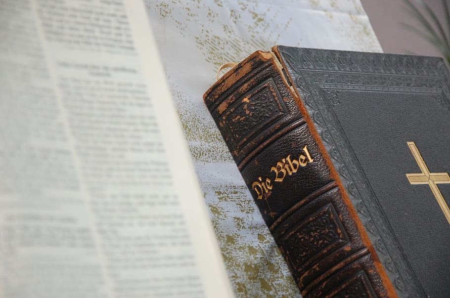 shallow focus photography of Die Bibel, bible, old, church, new, HD wallpaper