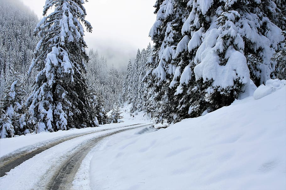 snow-covered road and trees on side, white, forest, mountains HD wallpaper
