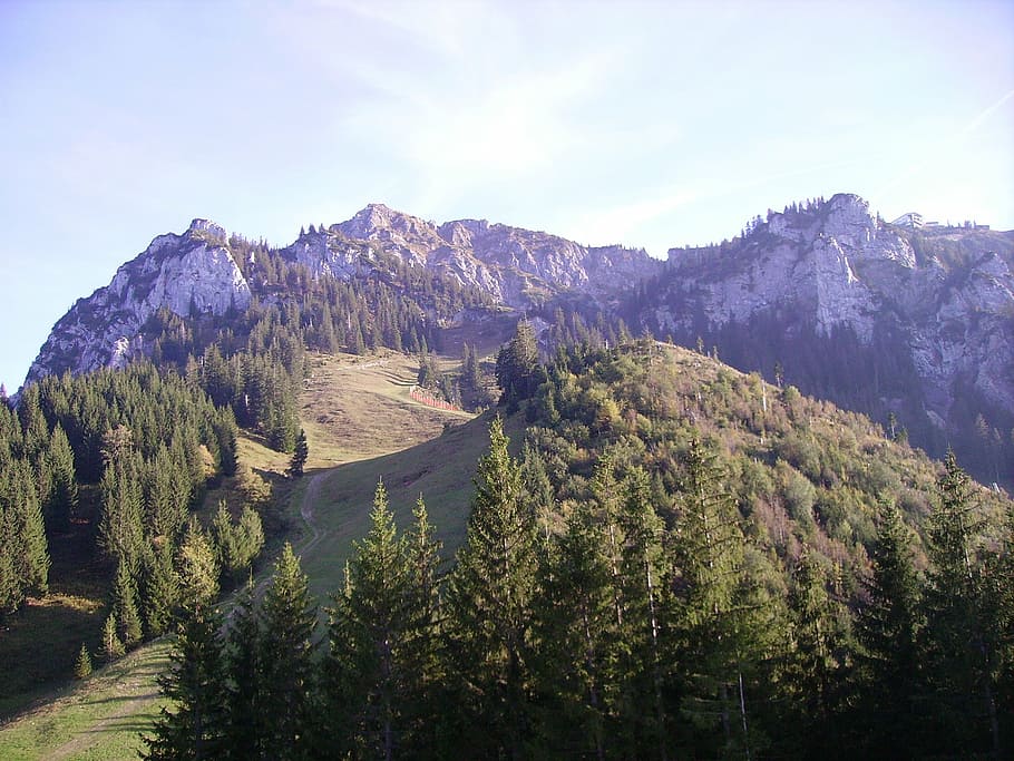 alpine, allgäu, tegelberg, summit rise, nature, höhenweg, HD wallpaper