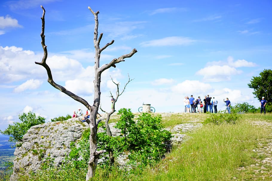 crowd near cliff, breitenstein, migratory goal, destination, hiking day, HD wallpaper