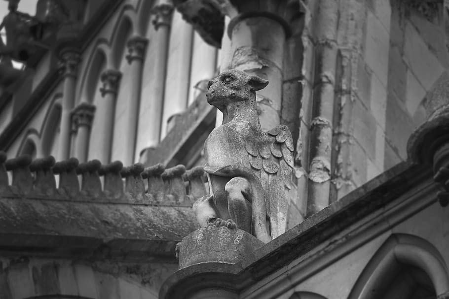 gargoyle, dragon, creature, mythical, cathedral, reims, architecture, HD wallpaper
