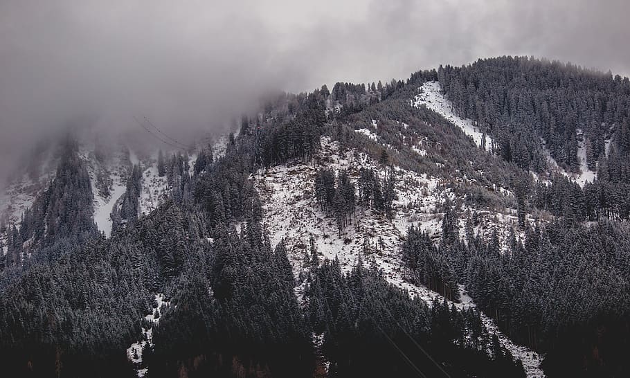 grayscale photography of snowy mountain covered by clouds, mountain with trees covered in fog HD wallpaper