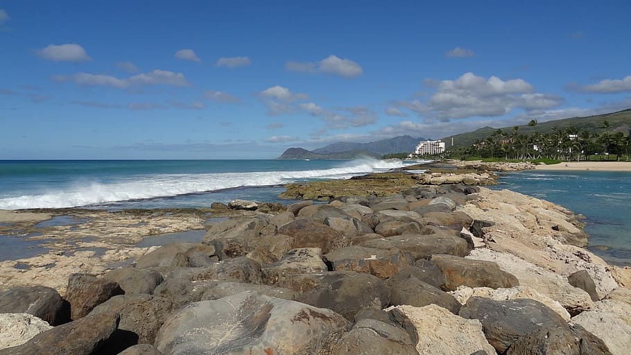 summer, vacation, hawaii, beach, travel, coast, ocean, waves HD wallpaper