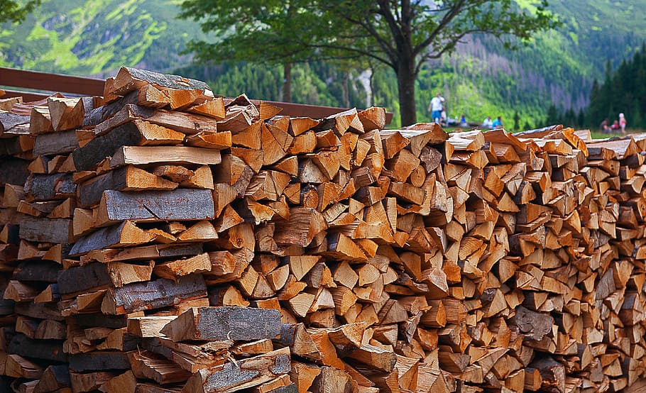 wood, fuel, firewood, logs, wood logs, beech logs, nature, autumn, HD wallpaper