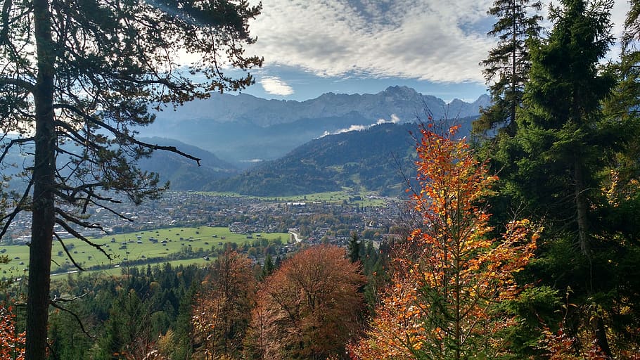 germany, garmisch-partenkirchen, alps, tree, plant, autumn, HD wallpaper