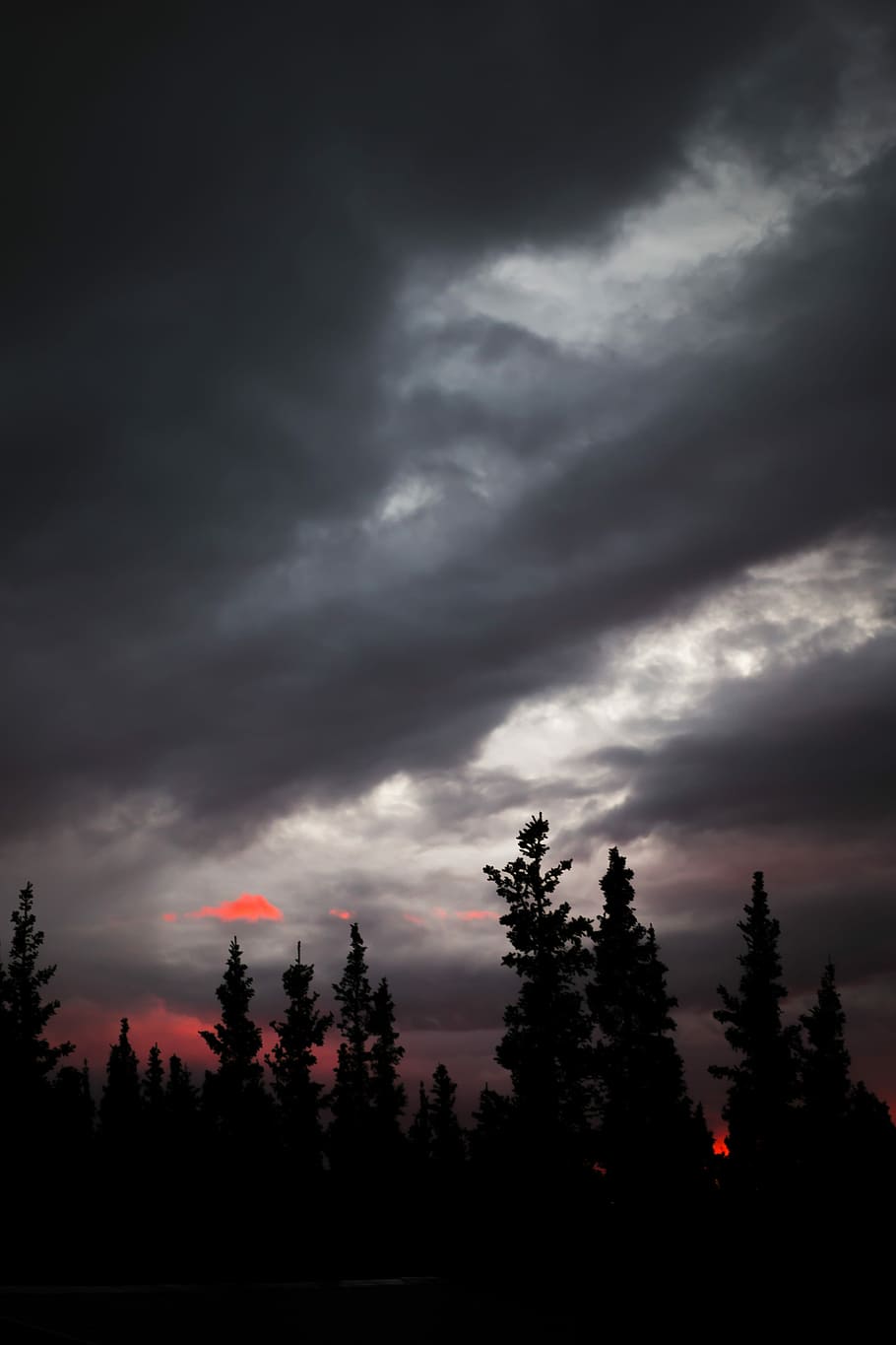 photo of cumulus clouds, cloudy sky above forest, tree, sunset HD wallpaper