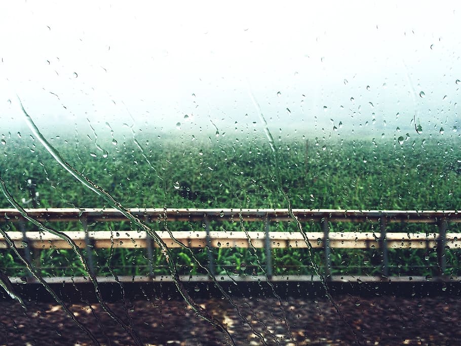 rain, the window, woods, wet, drop, water, nature, no people HD wallpaper