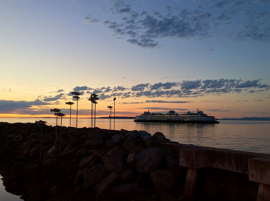 ferry, sunset, puget sound, fish, cruise, ship, summer, holidays HD wallpaper