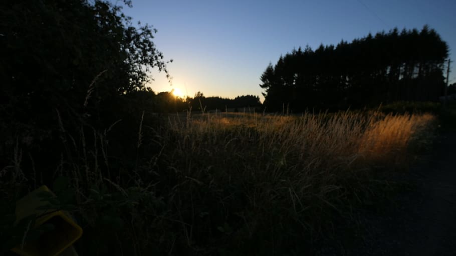 field, dusk, dark, nature, landscape, sky, sunset, twilight HD wallpaper