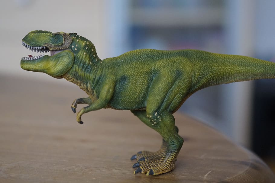 green plastic dinosaur toy, Tyrannosaurus Rex, replica, toys, HD wallpaper