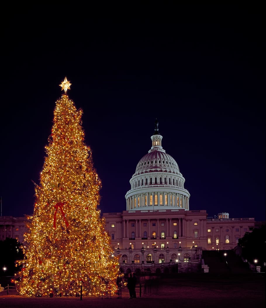 HD wallpaper Christmas Tree, Capitol Building, washington dc, lights
