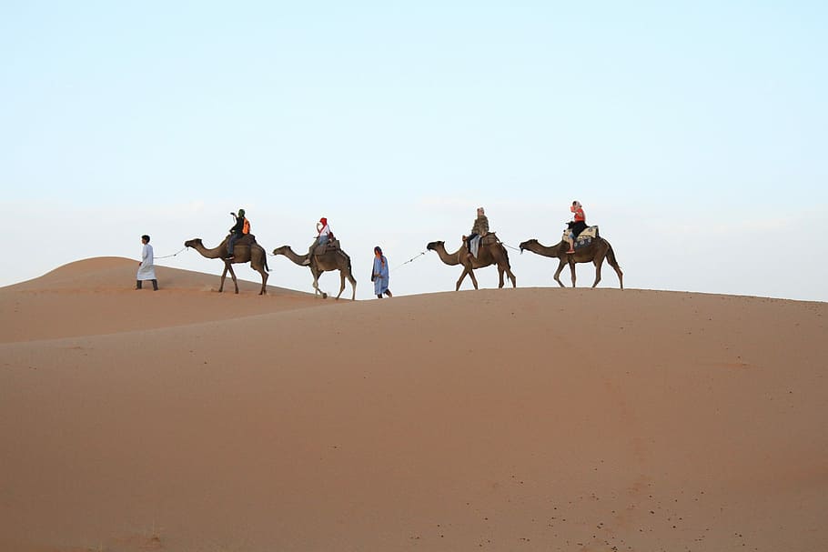 Desert, Sahara, Moroccan, sand, camel, sand dune, riding, sky HD wallpaper