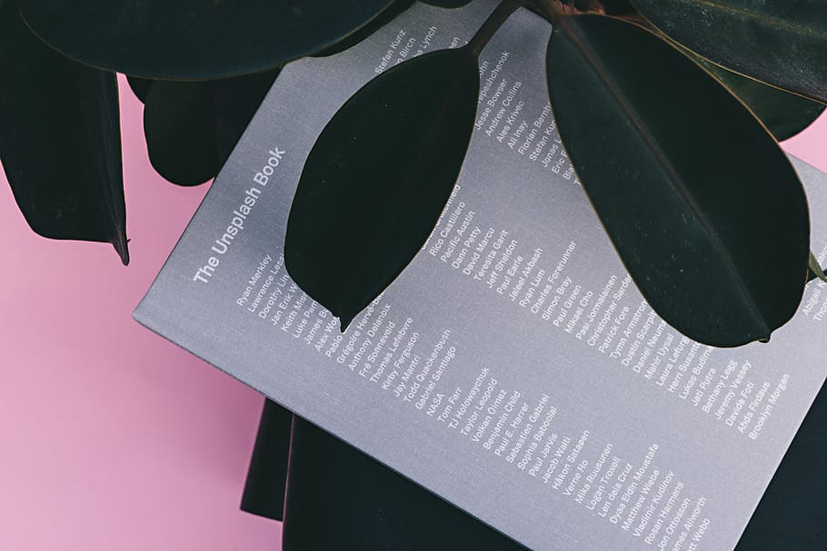 The Unsplash Book, The Unsplash Book beside green leafed plant HD wallpaper