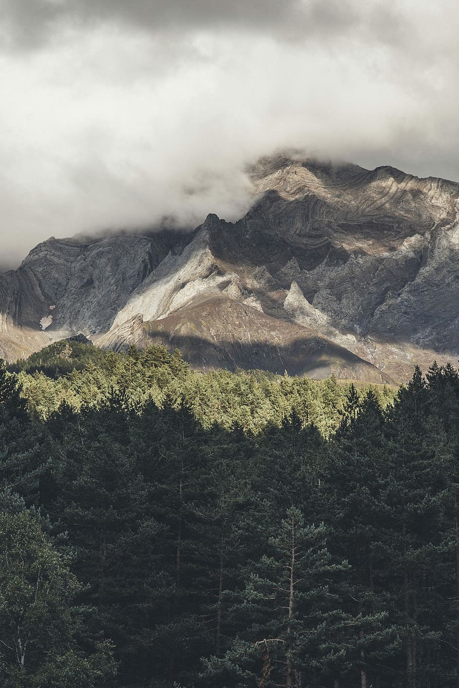aerial view of mountains and forest, mountain under cloudy sky HD wallpaper